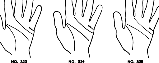 323