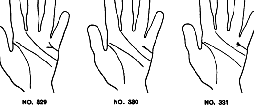 329