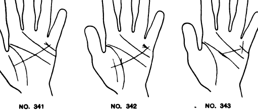 341