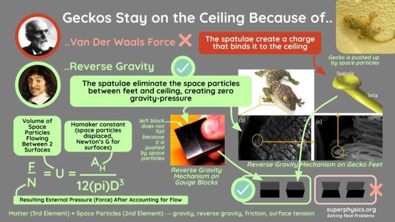 Space particles