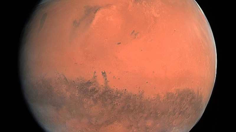 Planetary Vortices